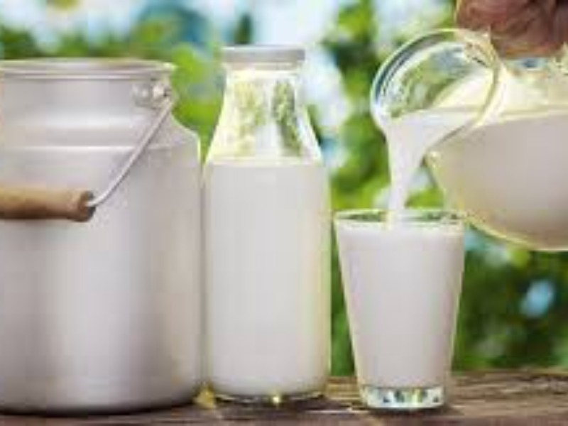 Çiğ süt üretimi 2023 yılında yüzde 0,4 azaldı